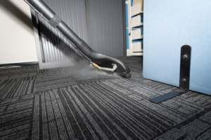 carpet cleaning